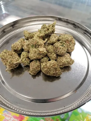 Bubble Gum