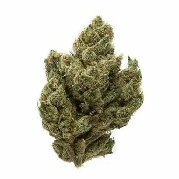 Lemonhead OG