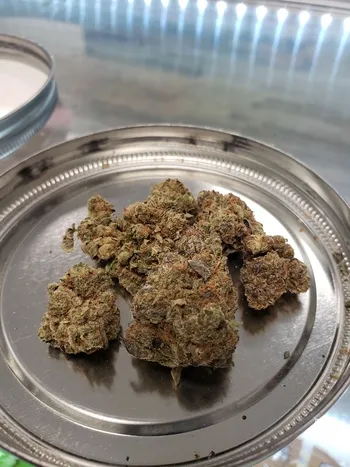 Girl Scout Cookies