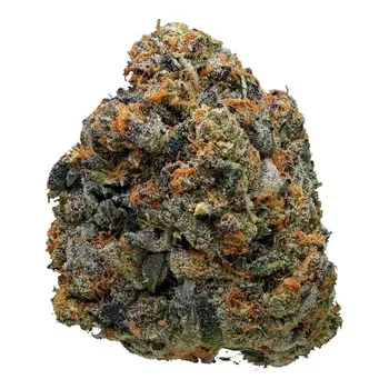 Mint Girl Scout Cookies