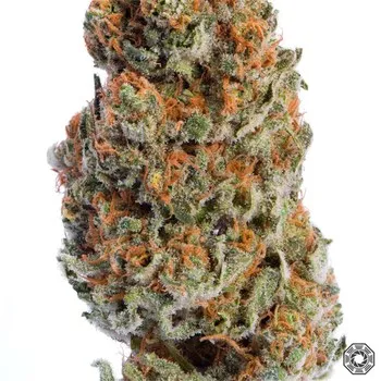 AK-47