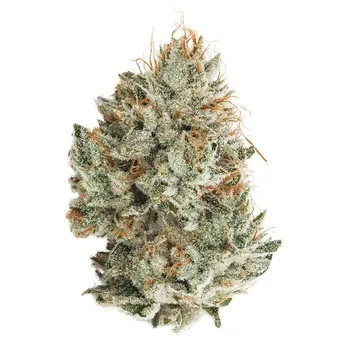 Exotic Top Shelf 14g