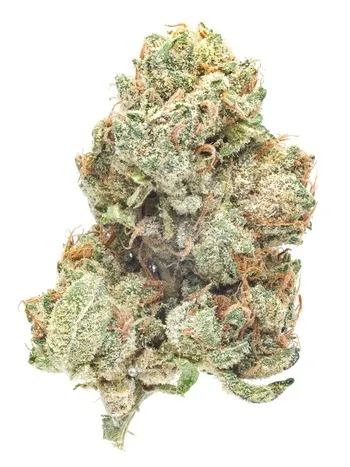 Kim Kardashian OG (Kim K Kush)
