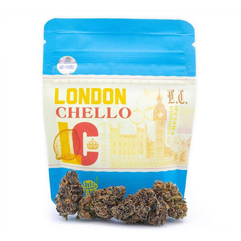 Londonchello