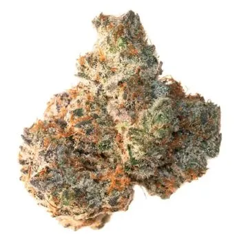 Animal cookies 14g