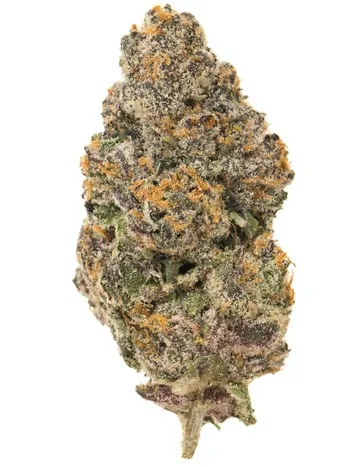 Biscotti