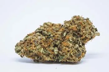 Ghost Cookies
