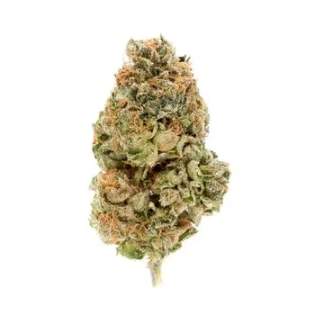 Abusive OG