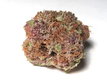 Strawberry Cough