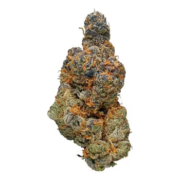 Girl Scout Cookies 