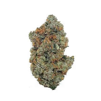 Ace Killer OG