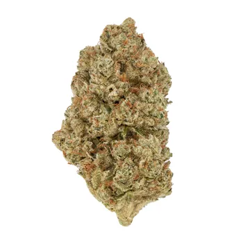 SFV OG