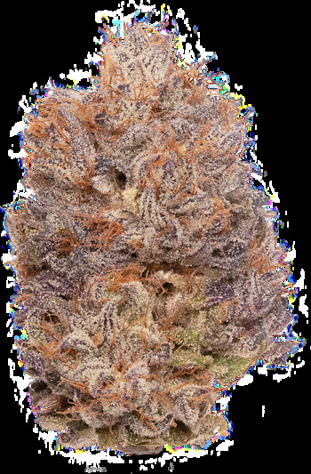 Blueberry Premium Cannabis Flower