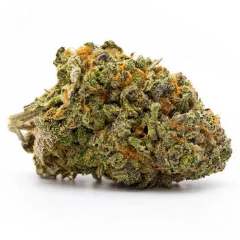 J1 3.5g