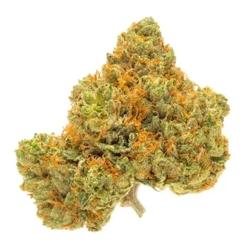 Godzilla Glue