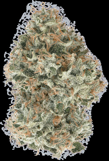 Strawberry Lemonade Premium Cannabis Flower