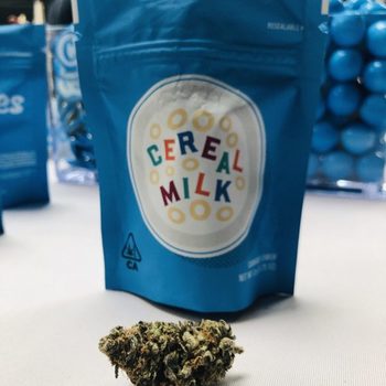 Cereal Milk