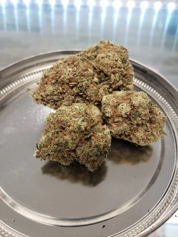 Gorilla Glue