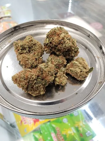 Holy Grail