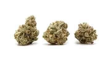 Exotic Top Shelf 5g