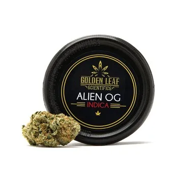 Alien OG