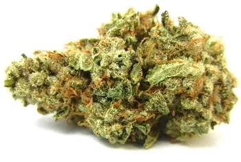 Pure Kush