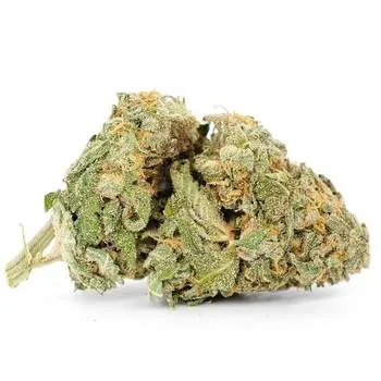 Grape God