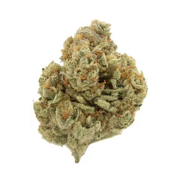 Budhut OG