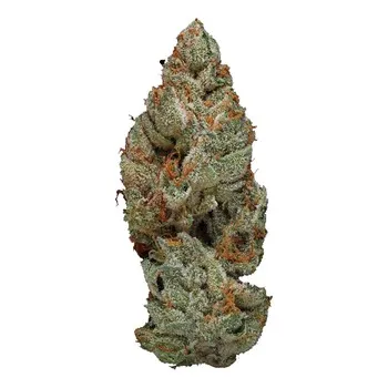 Blackberry Kush
