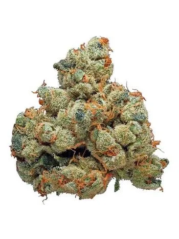 Cookie Jar