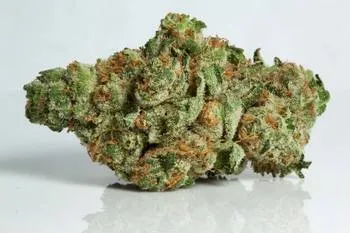 Cookie Dawg