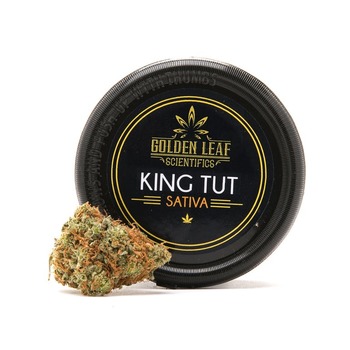 King Tut