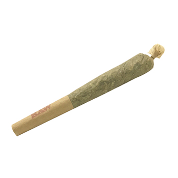 Joint (7 rolls)