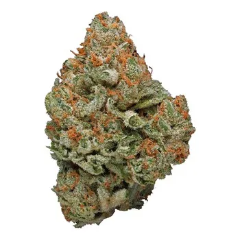  Sunset Sherbet
