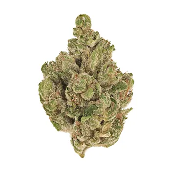 OG #18