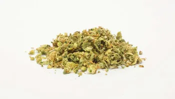 Premium Indoor Shake Hybrid
