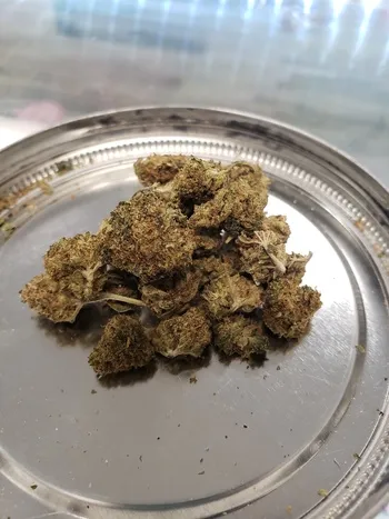 Lemon Haze