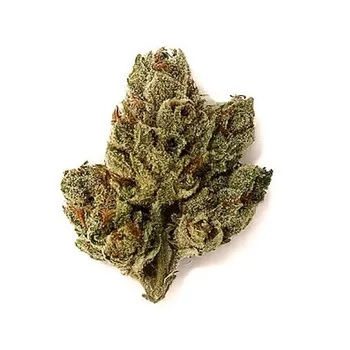 Bugatti OG
