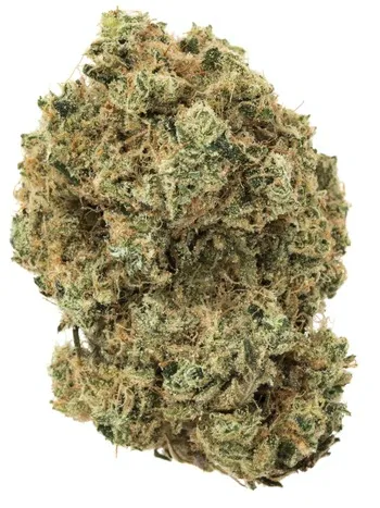 Chiquita Banana