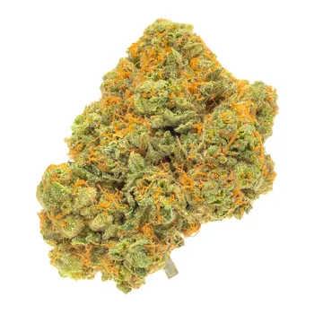 King Louis XIII